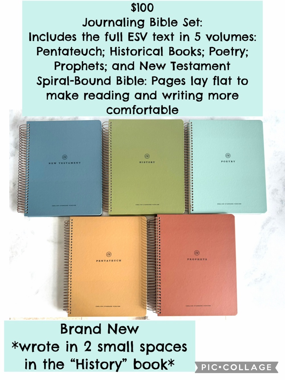Bible (5 Books) Journaling Bibles